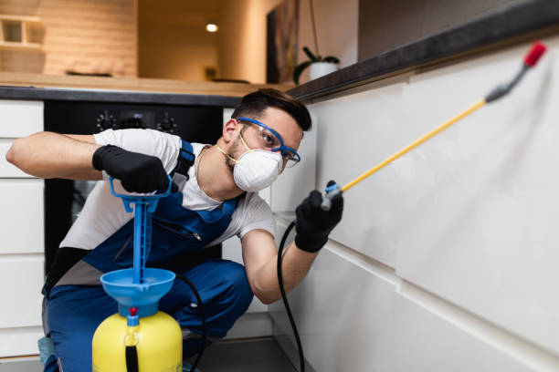 Pest Control for Restaurants in St Anthony, ID