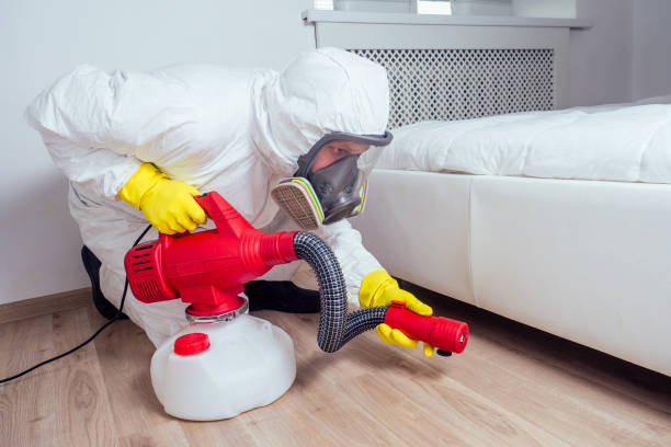 Best Flea Control Services  in St Anthony, ID